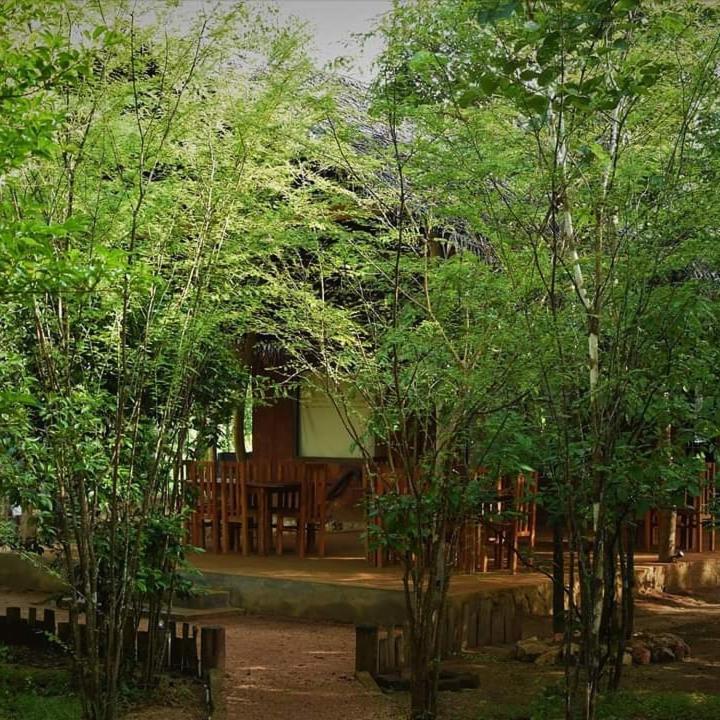 Sky Forest Habarana Exterior photo