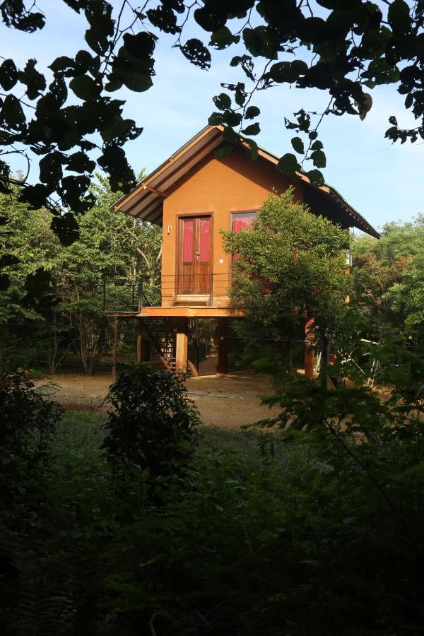Sky Forest Habarana Exterior photo