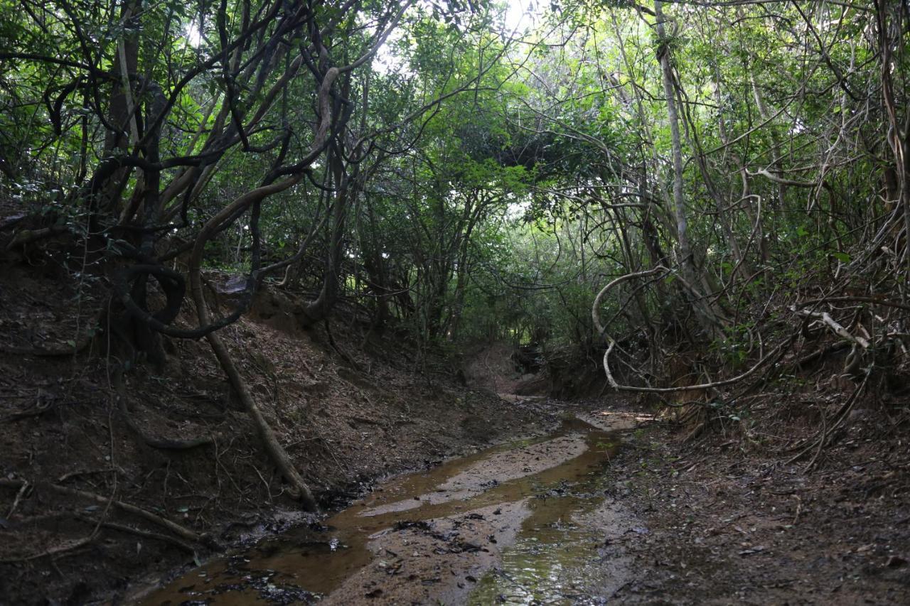 Sky Forest Habarana Exterior photo